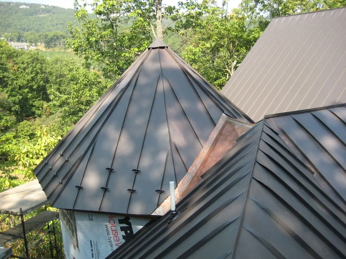 Professional Gutter Cleaning by Craftsman Roofing in Meadowview